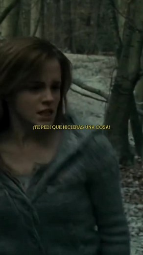 Conflicto amoroso en Harry Potter: Hermione y Ron