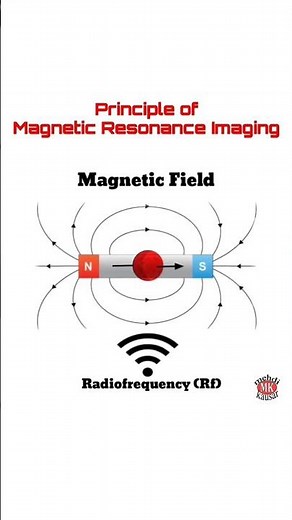 Magnetic Resonance Imaging II MRI II Principle