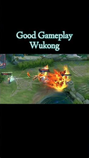 The Monkey Assassin ☠️