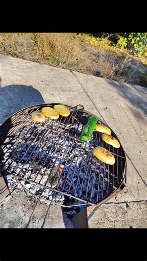 Videos de barba azul XXl (@raulcalleolias) con “som original - romanticmusic”