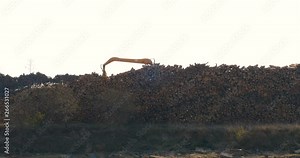 In an industrial sawmill, a log loader overloads (unloads) logs from a mountain into a wagon. Concept of: Nature Background, Slow Motion, Work, Log Mountains, Bucket Loader.
