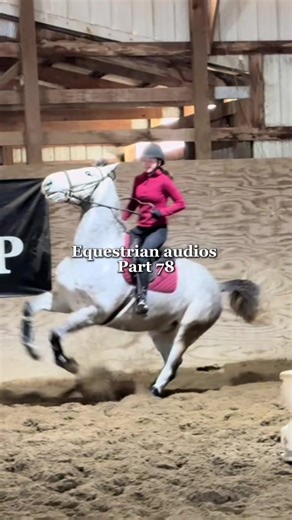 I’m Back: Happy New Year from the Equestrian Community