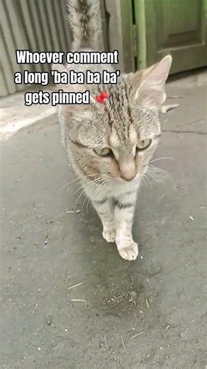 long 'ba ba ba ba' gets pinned 📌#memes #funny