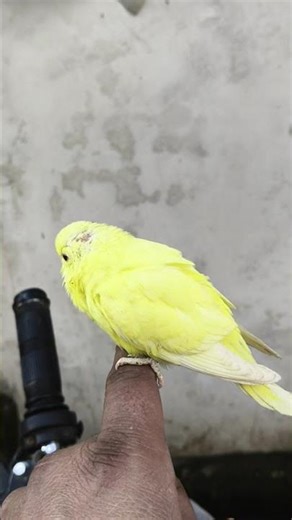 The TRUTH About Cardio Exercise