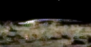 UFO hunter spots alien spaceship on moon, says it's authentic (VIDEO)