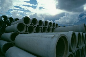 Can You Flush Rock Salt in Toilet to Kill Tree Roots?