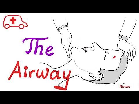 Airway - Oropharyngeal Airway (OPA) vs. Nasopharyngeal Airway (NPA) - Ventilation - Suctioning - EMS