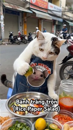 Rice Paper Salad (Bánh tráng trộn) #banhtrangtron #animals #vietnamfood #cat #catcancook #mèo #pet