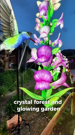 This Zoo Turns Into a Glowing Wonderland at Night!