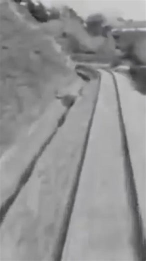 7.6K views · 136 reactions | Today in Disney History: May 7, 1950 #Disneyland #DisneyWorld #WaltDisney #Trains #History #fyp | Disney Dorks | Facebook