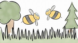 Asexual/ Sexual Reproduction Webquest