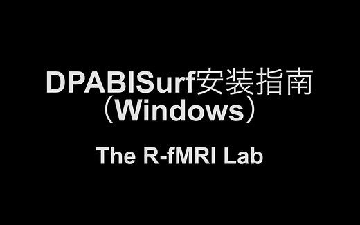 DPABISurf安装指南（Windows）（新版）