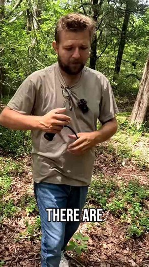 Unearthing Plantation Bricks - A Journey Through Time