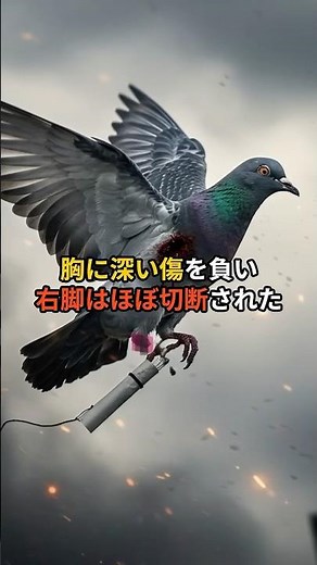 【戦場の英雄】片足を失いながらも飛んだ伝説の伝書鳩