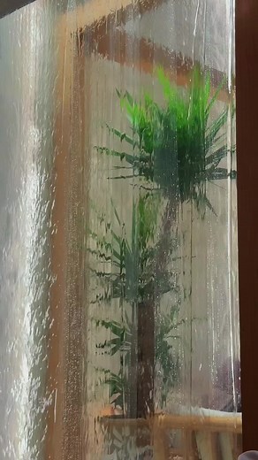 Tya Adnan: Exploring the Niqab Fashion Trend