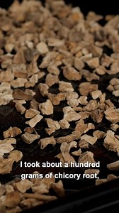 Chicory is the most popular and widely-available coffee substitute out there. Here's how to brew it properly into a good, tasty drink... | James Hoffmann