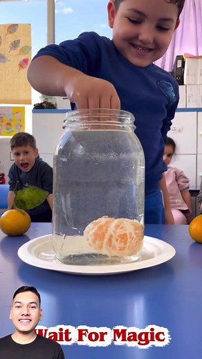 Amazing Water Orange Trick Revealed