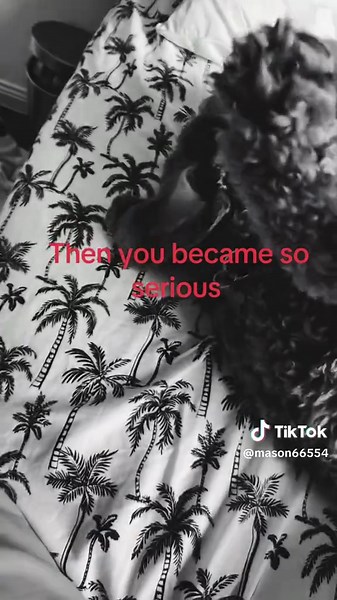 #dogs #bike #ekit #fyp #viral fyp he became so serious