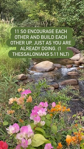 11 So encourage each other and build each other up, just as you are already doing. (‭‭‭1 Thessalonians‬ ‭5‬‬:‭11‬ ‭NLT‬‬) | Word Of Life Creations