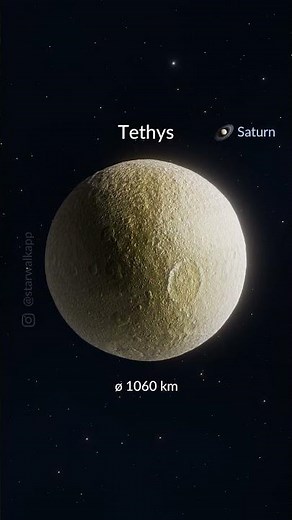 🌕✨ How Big Are the Moons in Our Solar System?