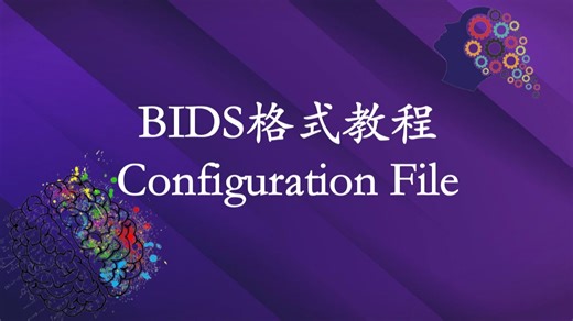 BIDS格式教程: Configuration File