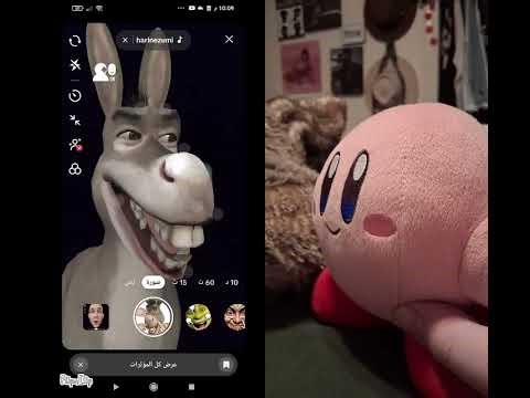 donkey from shrek vs Kirby