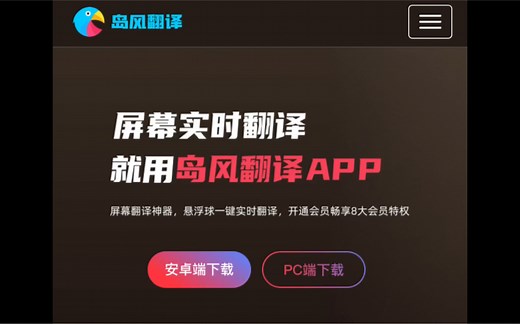 电脑PC端 实时游戏翻译 OCR识别 自动翻译 截屏翻译