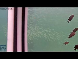 Okaloosa Island Pier Camera