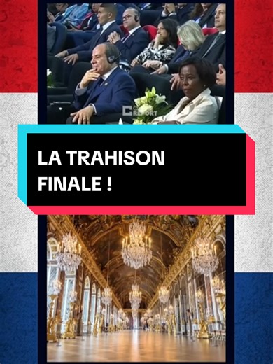 🛑 MACRON EXILE NOTRE LANGUE ET BRADE NOS TERROIRS ! 🤬💸 Oseras-tu nier, monarque au verbe vain, Le baptême de Reims et le sacre divin ? Quand ton orgueil prétend détrôner notre Seine, C’est Jeanne qu’on trahit, c’est l’âme souveraine. Entendez-vous ce prince, en sa cour d'Alexandrie, décréter que l'épicentre de notre langue n'est plus à Paris ? Quel affront pour les siècles de génie qui ont sculpté notre verbe ! Emmanuel Macron exile nos mots au bassin du Congo tandis que nos paysans périssent
