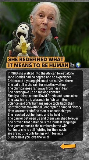 How One Woman Proved Chimps Use Tools #JaneGoodall #Wildlife