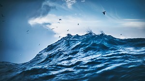 Atlantic ocean current responsible for heat distribution could shut down