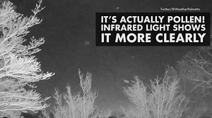 125K views · 2.3K reactions | Some people in South Carolina thought this was snow, but it's actually pollen! | The Weather Channel | Facebook