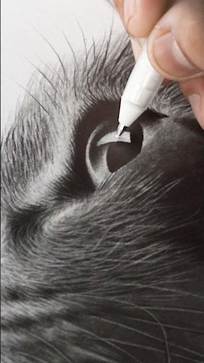 ⭐ How to Draw a Realistic Cat Eye 🐱