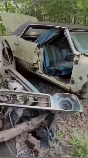 1980 CHEVROLET MONZA FASTBACK