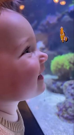 Baby's First Fish Friend - Aquarium Magic