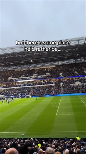 lost 3-0 in both 👍🏼 #everton #goodison #hilldickinson #utt #efc