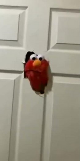 Elmo Smashes Door