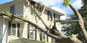 Consumer Reports ranks homeowners insurance