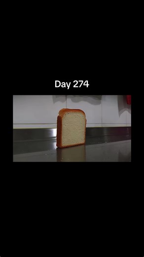 Bread Falling Over: A Hilarious Meme