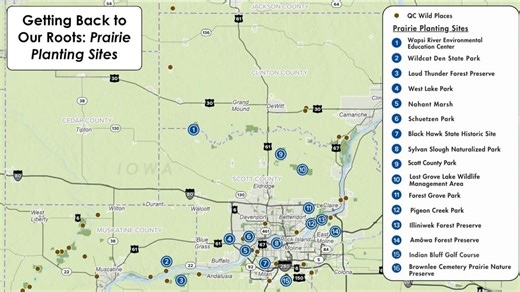 Bringing native prairie back to the Quad Cities