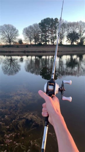 Abu Garcia max pro casting with fluorocarbon