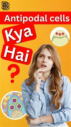 Antipodal cells #biology #dsssb #uptgt #kvs #nvs #ltgrade #science #neet2026 #botany #neetbiology