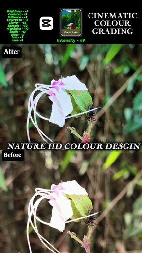Ant in Flower Cinematic Colour Grading 🐜🌸 | CapCut Editing #beforeafterediting #capcutediting