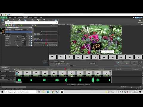 How To Animate Video Effects In VideoPad | Motion Effect | VideoPad Tutorials