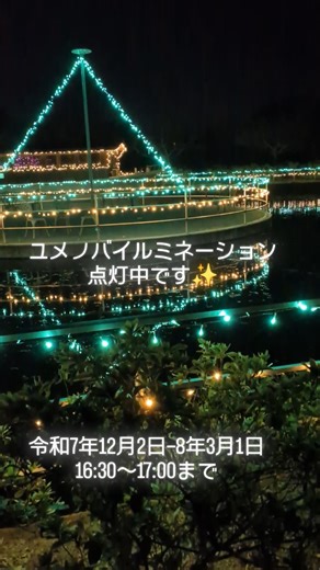 ザ・ヒロサワ・シティ on Instagram: "本日もユメノバにご来園いただきありがとうございました😊 本日は園内イルミネーションの一部をご紹介します✨ 期間は令和7年12月2日(火)ｰ8年3月1日(日) (休園日をのぞく)、 点灯時間は16:30〜17:00までとなります🌠 いつもとは違ったユメノバへ遊びに行きませんか? スタッフ一同ご来園をお待ちしております🙇 #ユメノバ #ザヒロサワシティ #テーマパーク #茨城県 #イルミネーション"