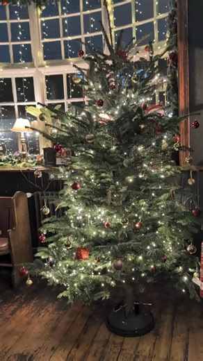 Welcome to Santa's Grotto in Kentish Town! We are guaranteed to be the most magical pub in the area this year so you better come down and join us! #thevinenw5 #christmaskentishtown #festivekentish | The Vine