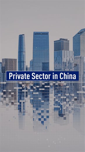 China’s private sector promoted by new law
