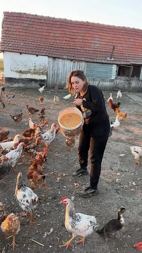 The Allure of Village Life in the Romanian Countryside