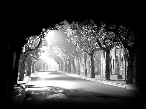 Meie Mees - Leedi Mustas