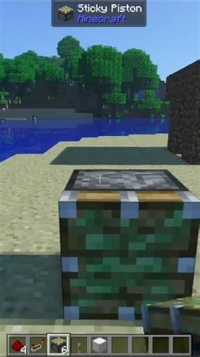 How to Build a Hidden Door in 12 Seconds (Minecraft)